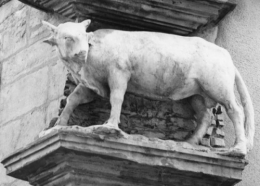 1 1975 RUE DU BOEUF PIERRE CLAVEL.jpg