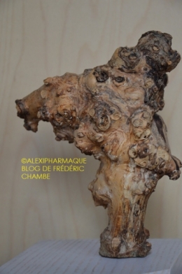 photographie,poésie