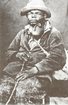 CRETIN DES ALPES.jpg