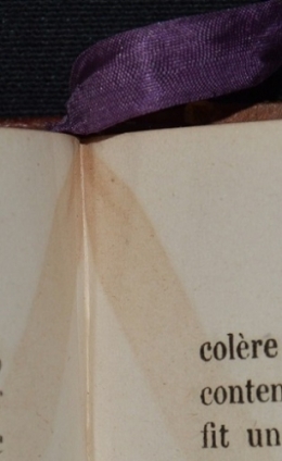 littérature,littérature française,duc de saint-simon,mémoires de saint-simon,louis xiv,ségur,duc de saint-aignan