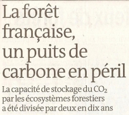 2023 06 08 FRANCE LA FORÊT PUITS DE CARBONE.jpg