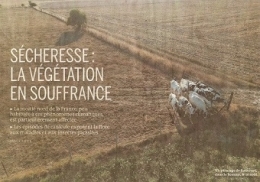 SEC 2022 08 18 RANCOURT DANS LA SOMME LE 10 AOÛT.jpg