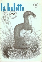 N°41 BELETTE HERMINE.jpg