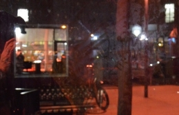 photographie,lyon,croix-rousse,perec les choses,georges perec,prix renaudot,michel houellebecq,houellebecq soumission,littérature,divan chesterfield,jérôme et sylvie,claude nougaro,les petits bruns et les grands blonds,françois fillon,alain juppé