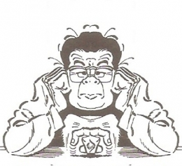 photographie,bande sessinée,je te tiens tu me tiens par la barbichette,marcel gotlib,rubrique-à-brac