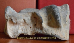 photographie,fossile