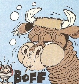 VACHE 8.jpg