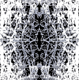 PLATANES MOLINET .png