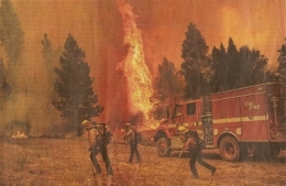 2022 07 28 CALIFORNIE PHOTO.jpg