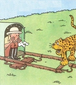 1 5 LE LEOPARD SAUVAGE.jpg