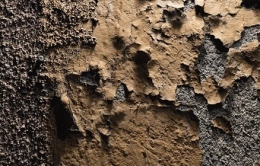 photographie,lyon,croix-rousse,la voguette,rue de belfort