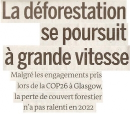 2023 06 28 ON DEFORESTE A TOUTE VITESSE.jpg