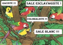 PERROQUETS MINORITES COULEUR.jpg