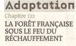 2023 06 13 LA FORÊT 1.jpg