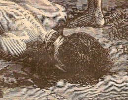 1883 07 15 XIII p24 CASTELLI.jpg