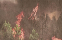 2022 08 14-16 14 INCENDIE GIRONDE.jpg