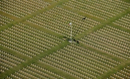 14 juillet,fête nationale,hollande