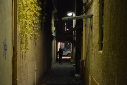 PASSAGE DUMONT 1.JPG