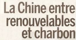 3 2023 07 06 FOSSILES.jpg