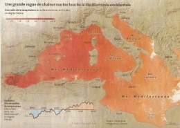 2022 07 30 CANICULE MARINE CARTE.jpg