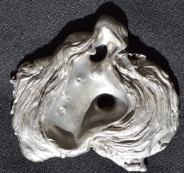 COULEE PETRIFIEE.JPG