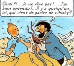 bande dessinée,bd,hergé,georges rémi,les aventures de tintin et milou,tintin au tibet,coke en stock,le lotus bleu,les cigares du pharaon,objectif lune,l'affaire tournesol,tintin en amérique,jo zette et jocko,le testament de m. pump,new york,le manitoba ne répond plus,l'éruption du karamako,l'île noire,les dupondt,on a marché sur la lune,bdm,tintin éditions originales,tintin ventes aux enchères,artcurial