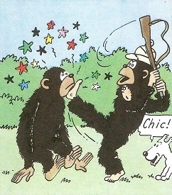 bande dessinée,hergé,les aventures de tintin,tintin au congo,éditions casterman,éditions moulinsart