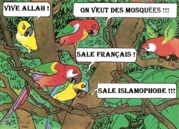 PERROQUETS ISLAM.jpg