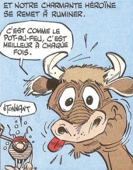 VACHE 9.jpg