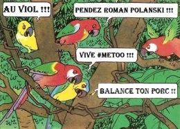 PERROQUETS ACTRICES FEMINISTES.jpg