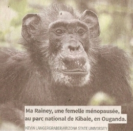 2023 11 01-02 MA RAINEY 2.jpg