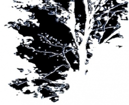 CAMPING 3 STRASBOURG .JPG