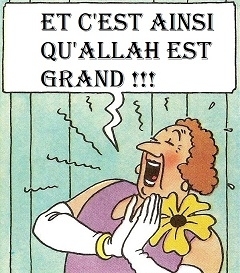 SEPT BOULES CASTAFIORE 1.jpg