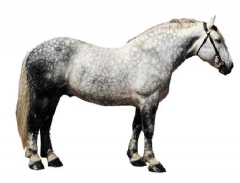 sport,cyclisme,tour de france,amaury sports organisation,dopage,triche,christopher froome,antoine vayer,maillot jaune,la petite reine,mont ventoux,journal le monde,journal libération,yann bouchez,henri seckel,14 juillet,omerta,capteur srm,dave brailsford,la pierre-saint-martin,équipe sky