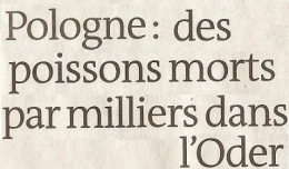 2022 08 18 POLOGNE.jpg