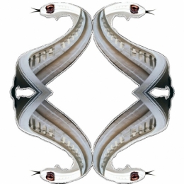 ESCALIER HDV PIERRE CLAVEL.jpg