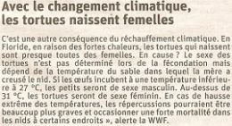 2022 08 08 TORTUES FEMELLES.jpg