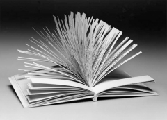 littérature,littérature française,raymond queneau,éditions gallimard,arrt contemporain,musique contemporaine,dubuffet,art brut,collège de pataphysique,dubuffet bâtons rompus,oulipo,georges perec,cent mille milliards de poèmes,condorcet,michel lécureur queneau,peintre jean hélion,l'ère du vide,gilles lipovetsky,hermann broch