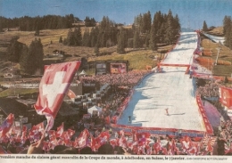 MONDE 2023 02 07 ADELBODEN NEIGE.jpg