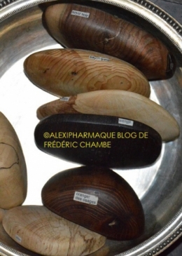 marc averly,travail du bois,photographie,oranger des osages,noyer noir,sapin gutte,wenge,hêtre,osages amérindiens