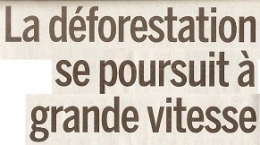 DEF. 2023 06 28 ON DEFORESTE A TOUTE VITESSE.jpg