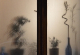 photographie,lyon,croix-rousse