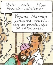 VALLEE COBRAS P.49 DEFINITIF.jpg