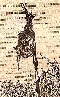 1884 02 24 POLICE TONKIN PIRATE.jpg