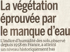 SEC 2022 08 18 VEGETATION EPROUVEE.jpg