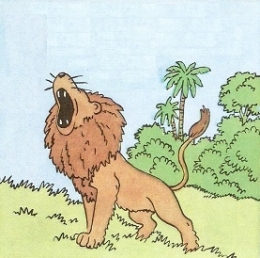 1 4 LE LION 1.jpg