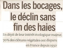 DEF. 2023 06 25-26 BOCAGES DECLIN DES HAIES.jpg