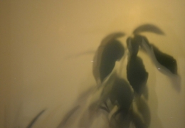 RUE CHARIOT D'OR 1.JPG