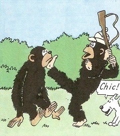 bande dessinée,hergé,les aventures de tintin,tintin au congo,éditions casterman,éditions moulinsart