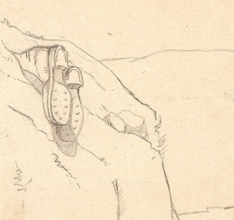 D1 RECTO JANVIER 1915.jpg